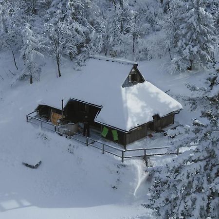 Vila Chalet Pehta Velika Planina Stahovica Exteriér fotografie