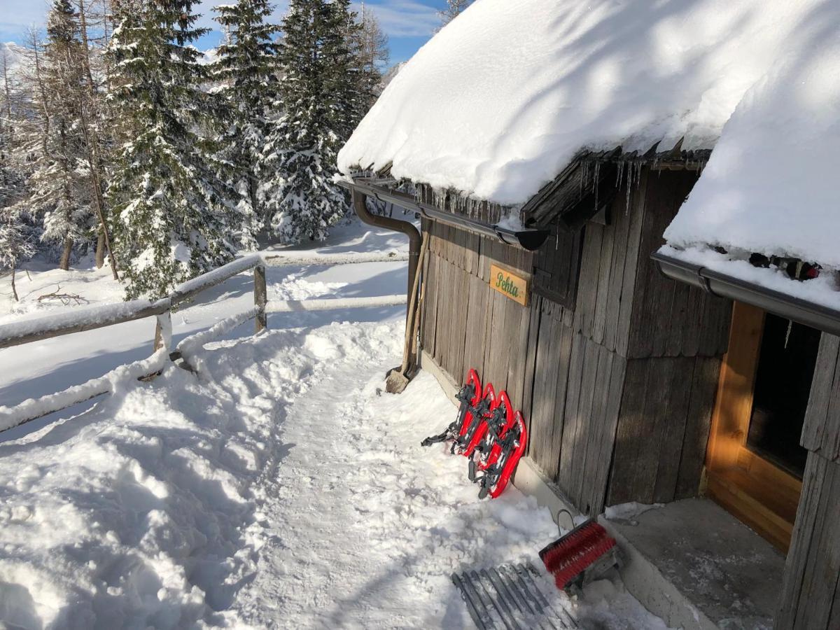 Vila Chalet Pehta Velika Planina Stahovica Exteriér fotografie