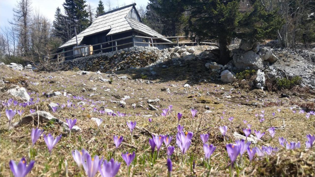 Vila Chalet Pehta Velika Planina Stahovica Exteriér fotografie