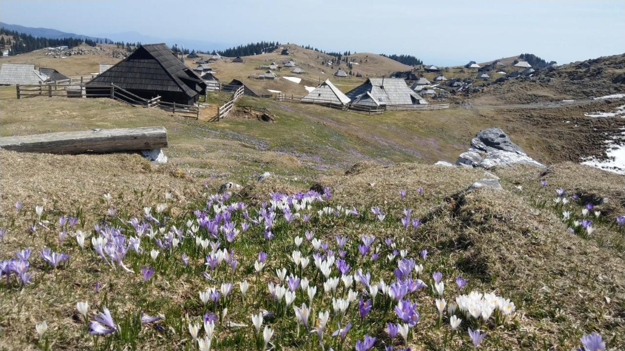 Vila Chalet Pehta Velika Planina Stahovica Exteriér fotografie