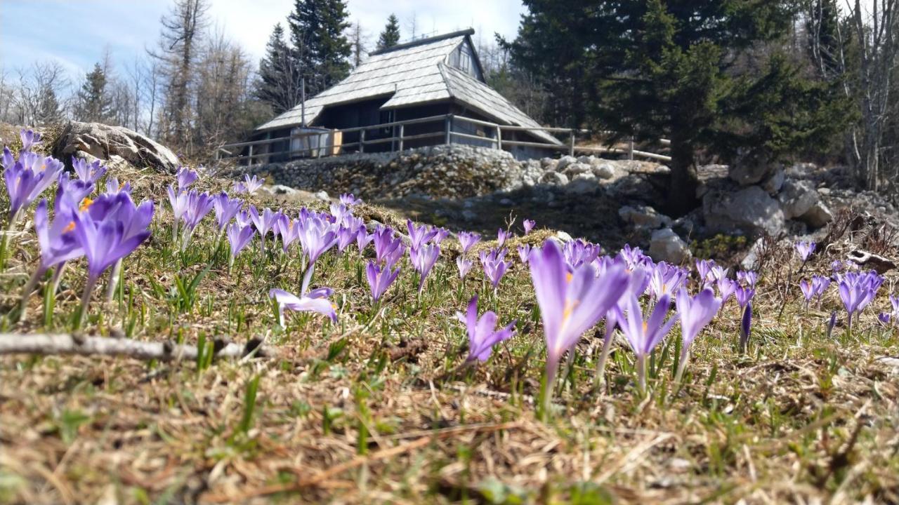 Vila Chalet Pehta Velika Planina Stahovica Exteriér fotografie