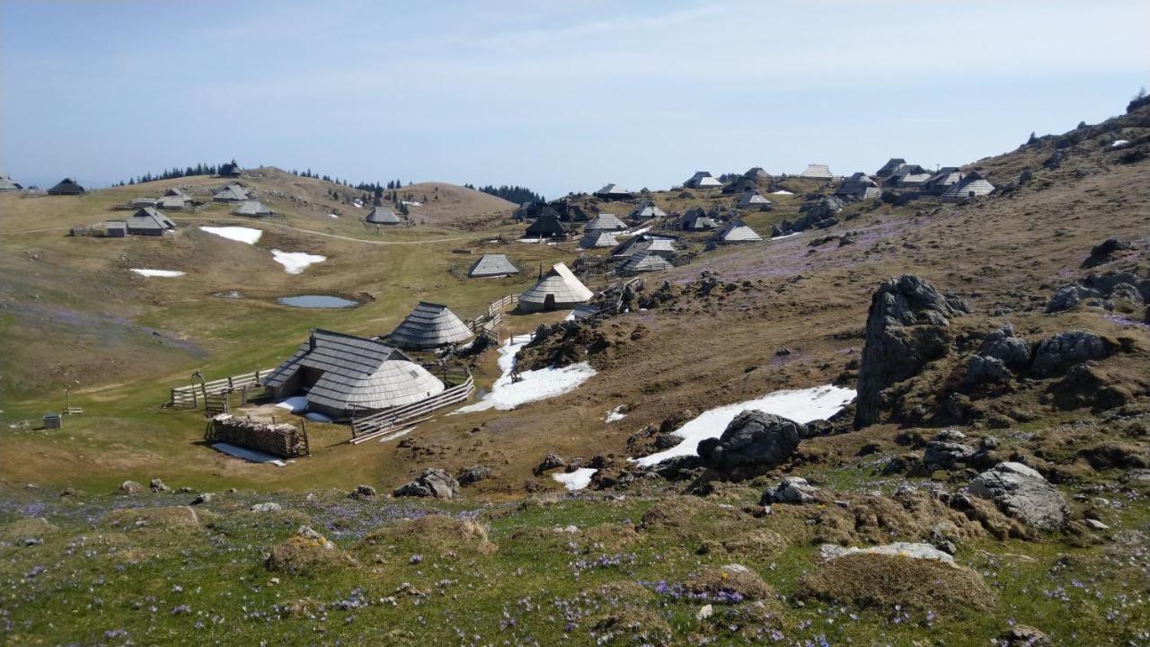 Vila Chalet Pehta Velika Planina Stahovica Exteriér fotografie