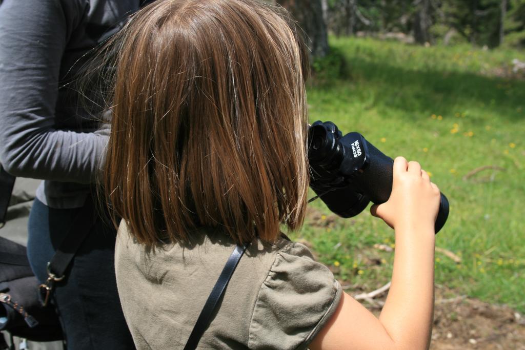 Vila Chalet Pehta Velika Planina Stahovica Pokoj fotografie