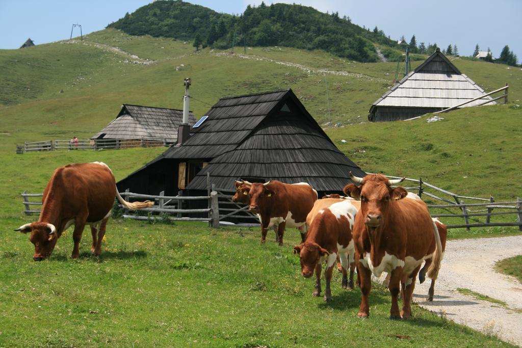 Vila Chalet Pehta Velika Planina Stahovica Pokoj fotografie