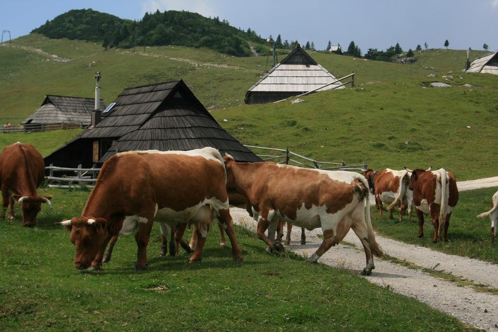 Vila Chalet Pehta Velika Planina Stahovica Pokoj fotografie