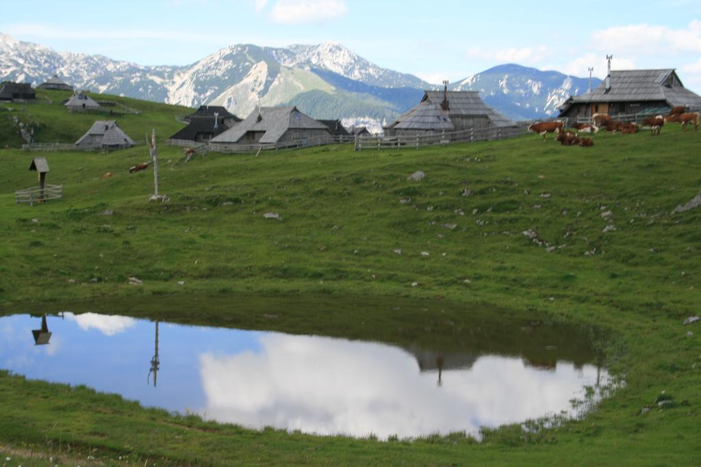 Vila Chalet Pehta Velika Planina Stahovica Pokoj fotografie