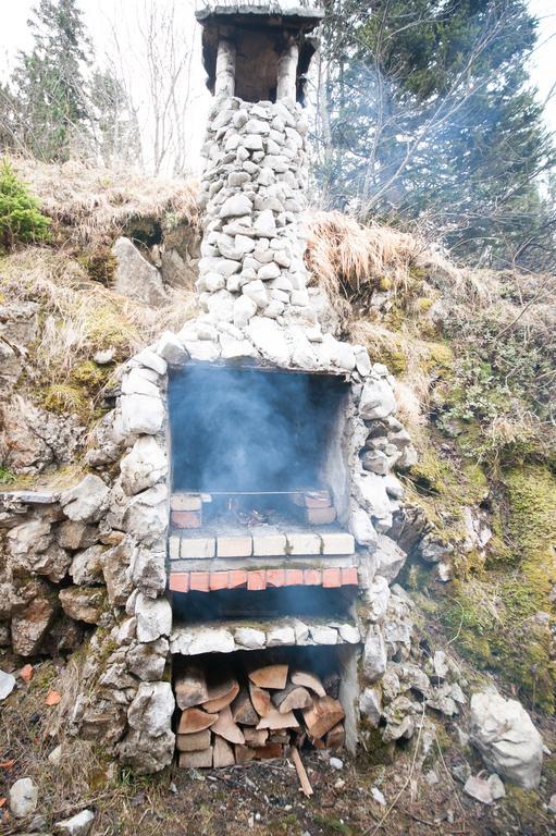 Vila Chalet Pehta Velika Planina Stahovica Exteriér fotografie