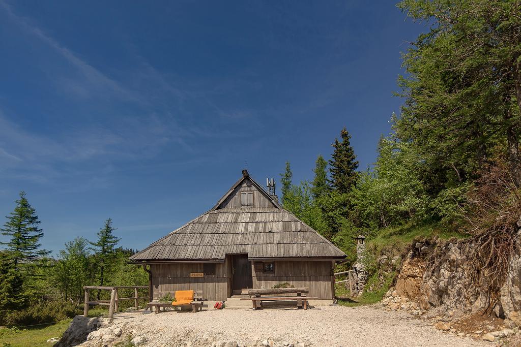 Vila Chalet Pehta Velika Planina Stahovica Exteriér fotografie