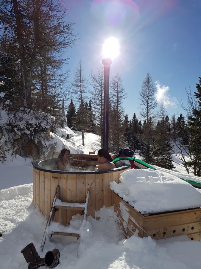 Vila Chalet Pehta Velika Planina Stahovica Exteriér fotografie