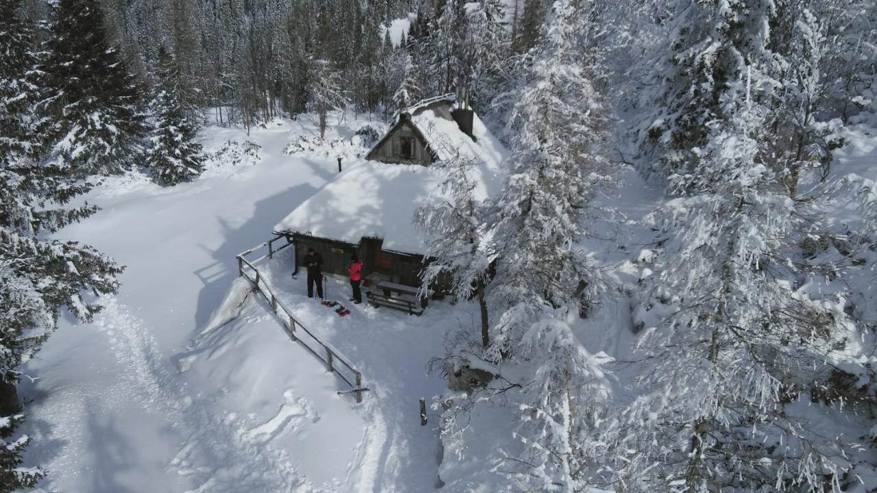 Vila Chalet Pehta Velika Planina Stahovica Exteriér fotografie