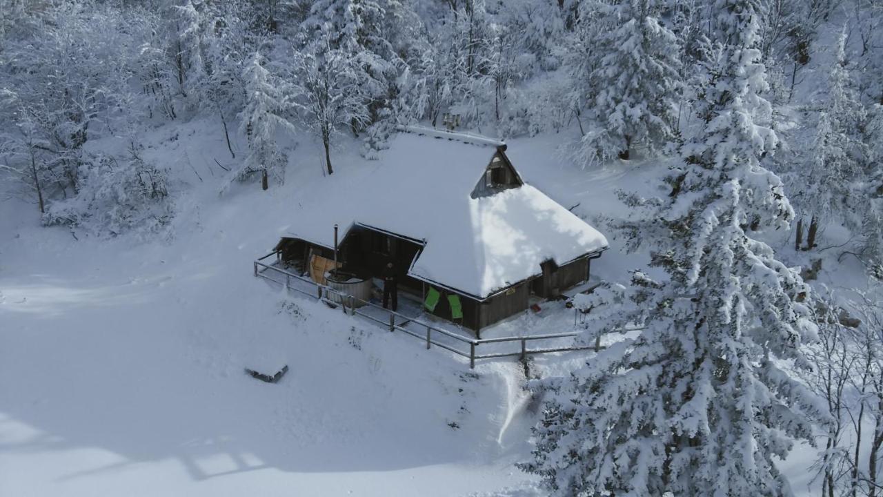 Vila Chalet Pehta Velika Planina Stahovica Exteriér fotografie