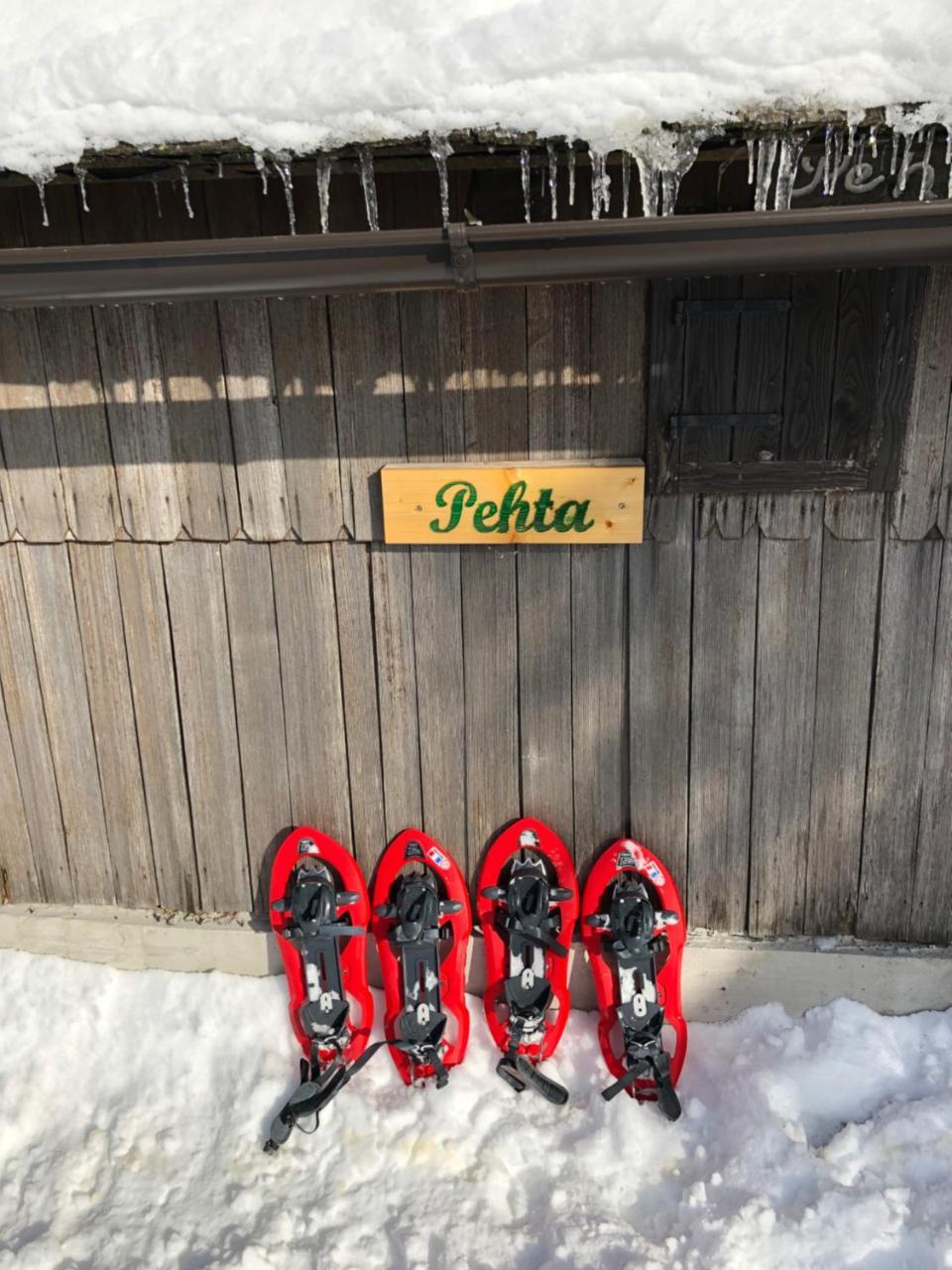 Vila Chalet Pehta Velika Planina Stahovica Exteriér fotografie